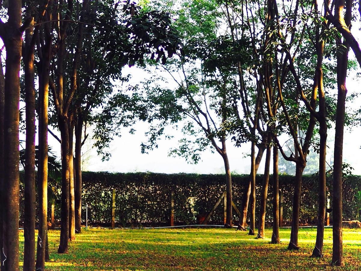 Hotel Singha Rubber Tree Ban Huai Maenam Noi Esterno foto