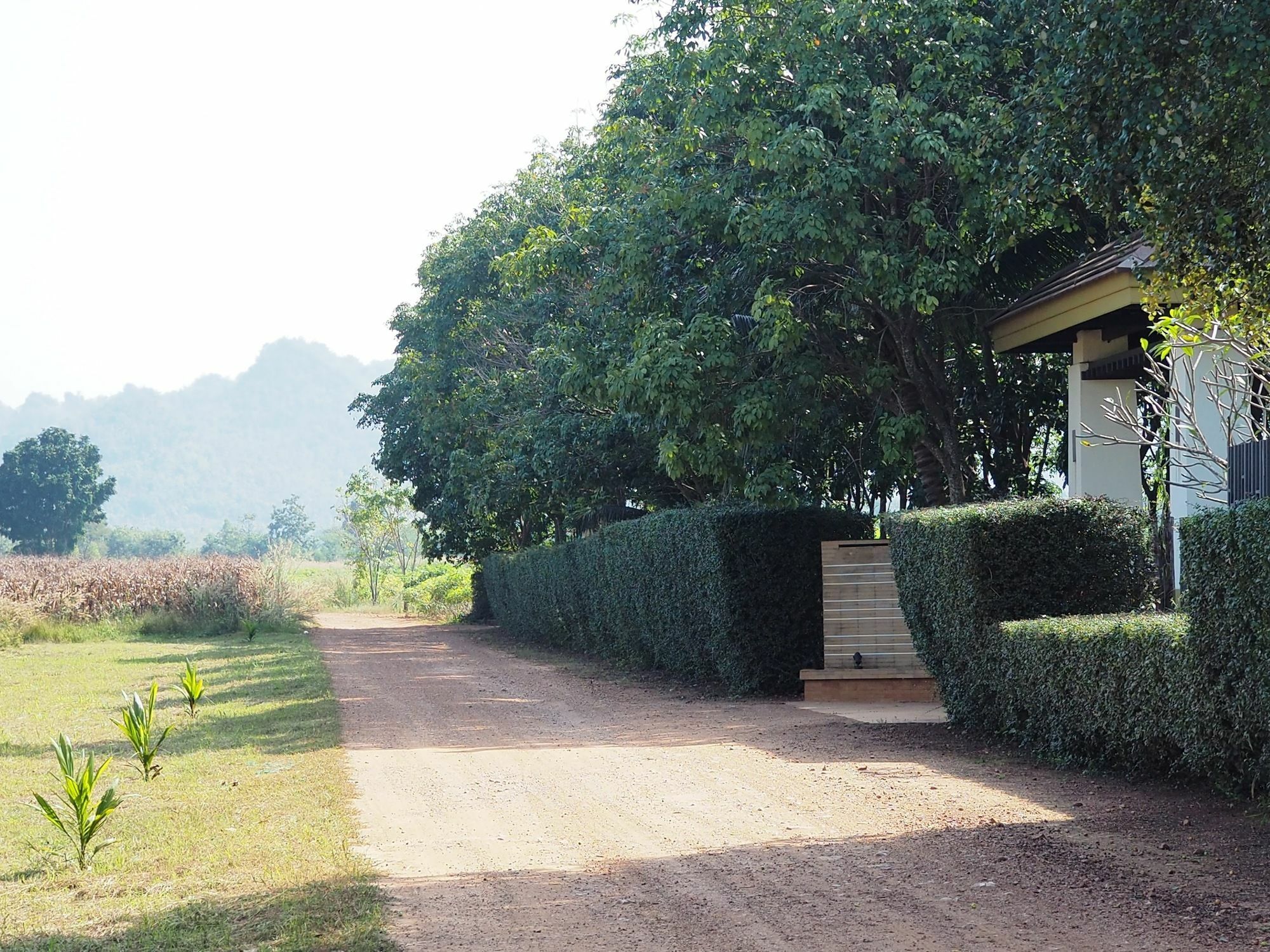 Hotel Singha Rubber Tree Ban Huai Maenam Noi Esterno foto