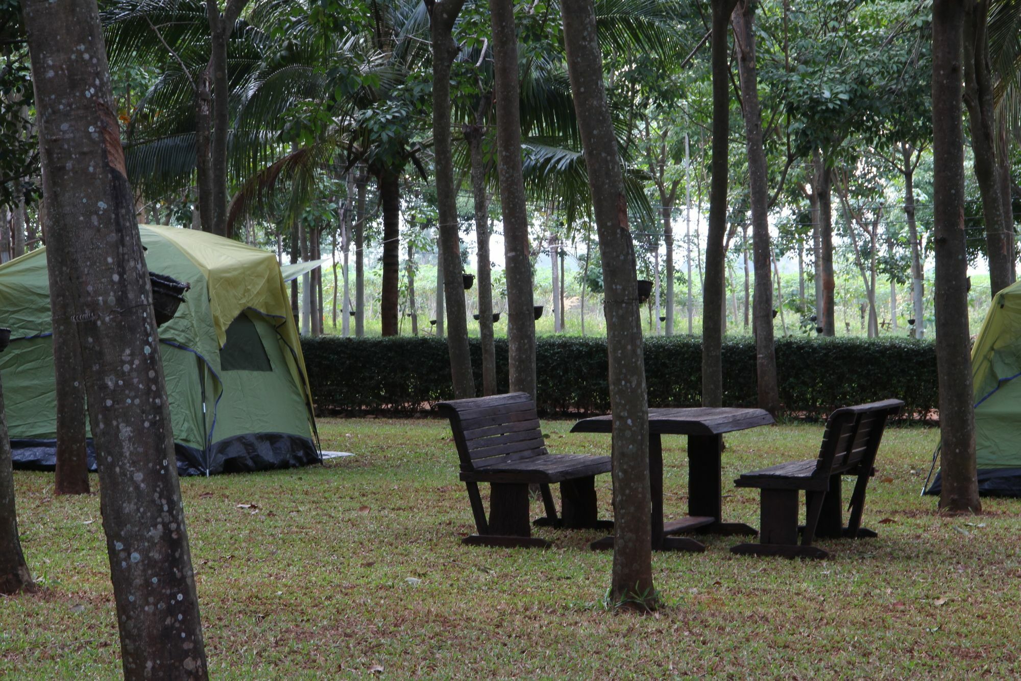 Hotel Singha Rubber Tree Ban Huai Maenam Noi Esterno foto